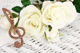 images (1)